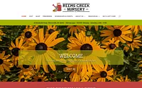 reemscreek.com snapshot