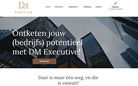 dmexecutive.nl snapshot