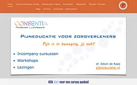 pijneducatie.nl snapshot