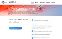 qms-guru.com snapshot