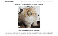 www.christypaw.com snapshot