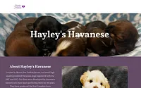 hayleyshavanese.com snapshot