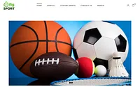figsport.com snapshot